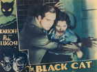 The Black Cat