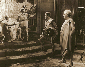 The Warrior's Husband