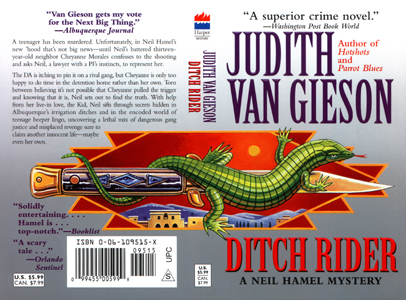 Ditch Rider paperback cover